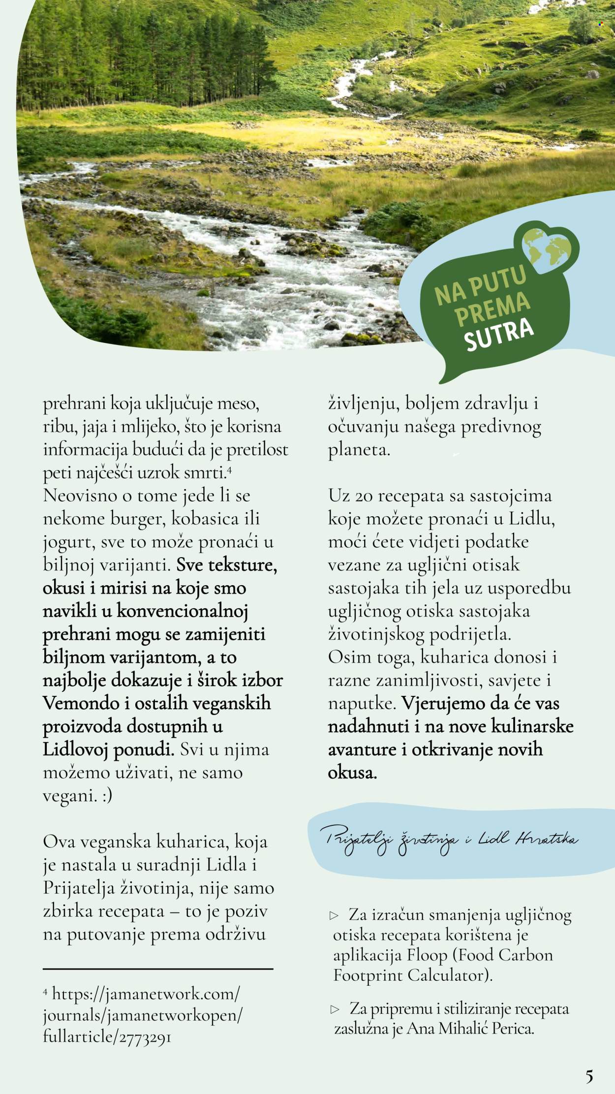 Lidl katalog