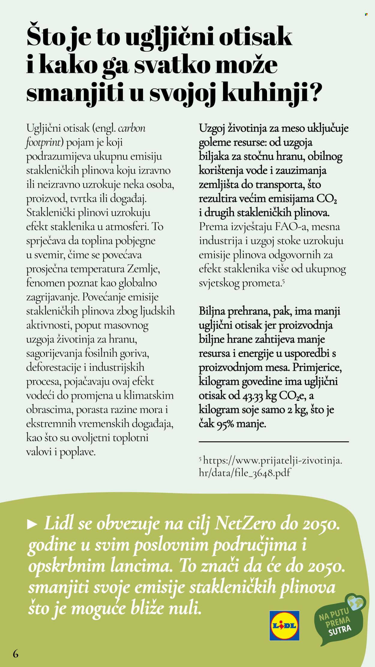 Lidl katalog