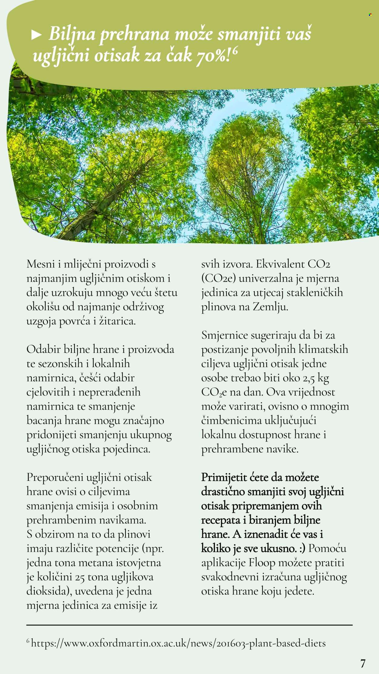 Lidl katalog