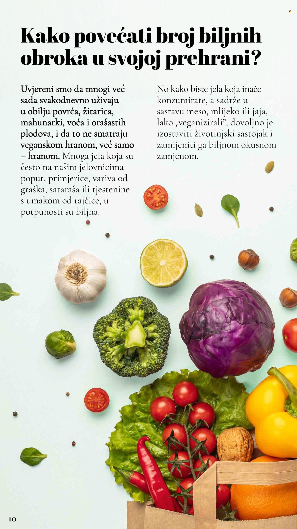 Lidl katalog