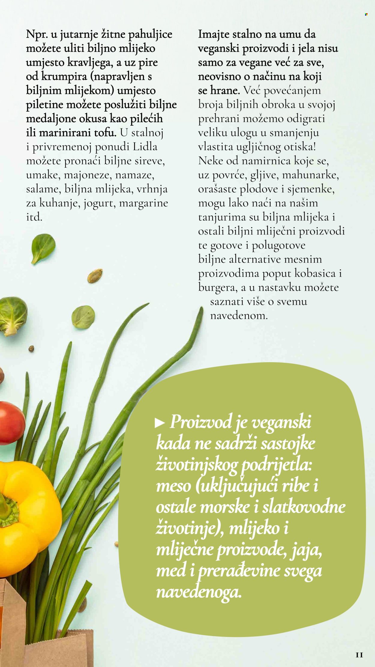 Lidl katalog
