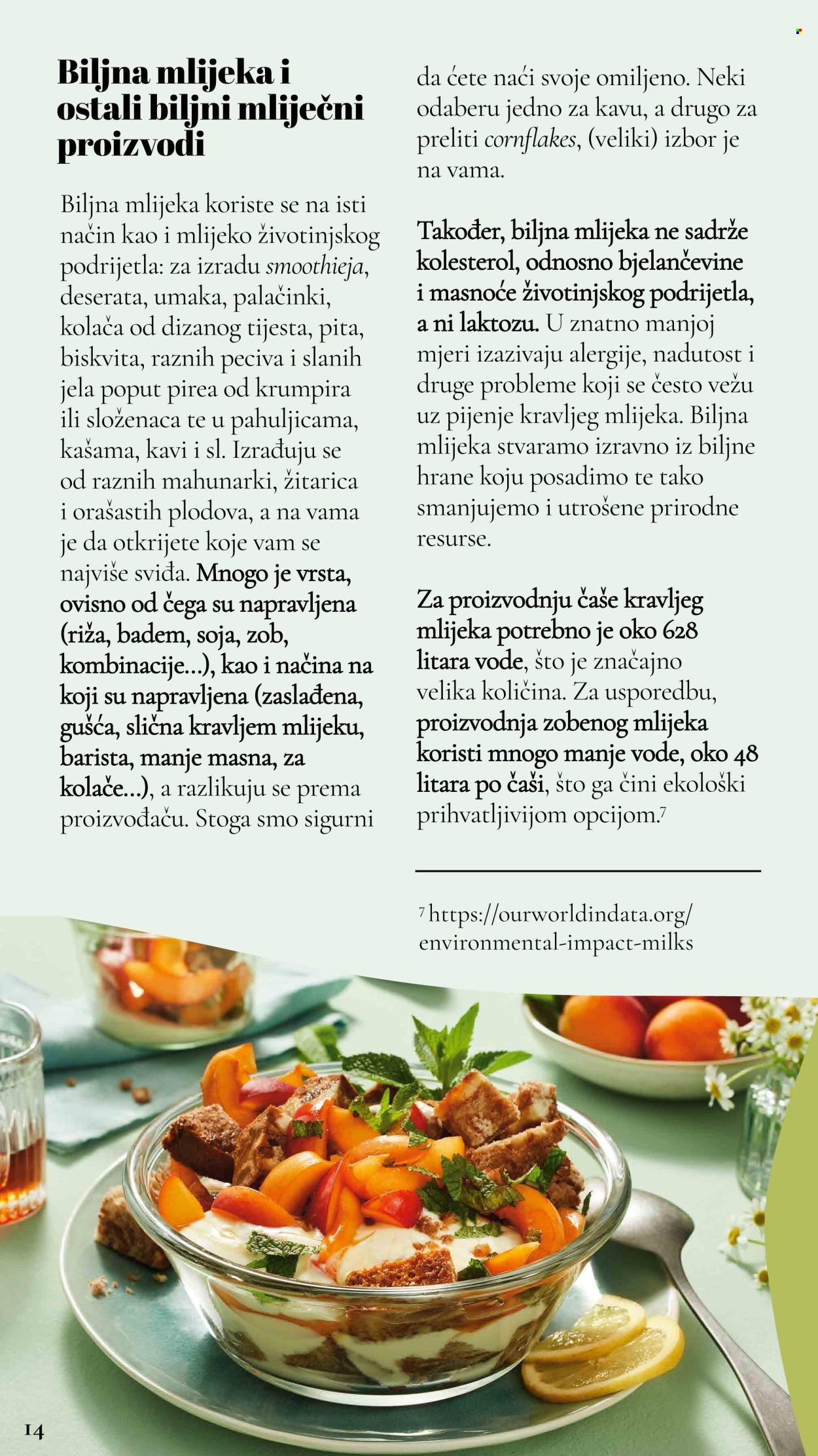 Lidl katalog