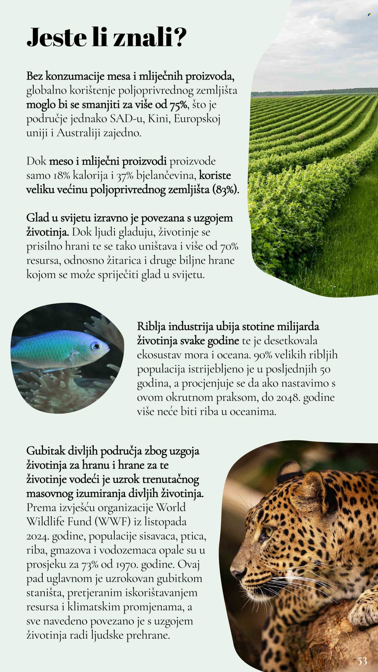 Lidl katalog