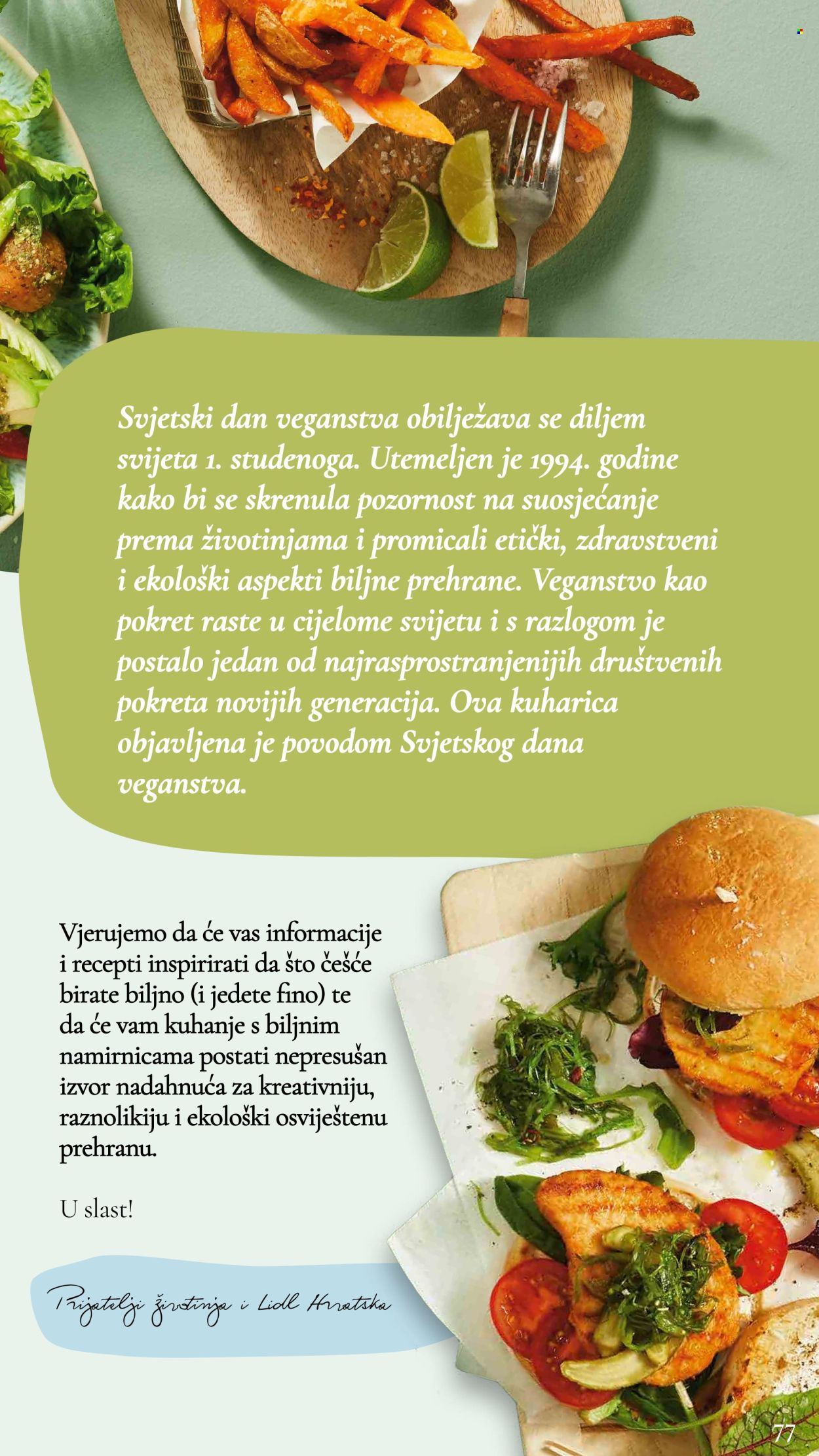 Lidl katalog