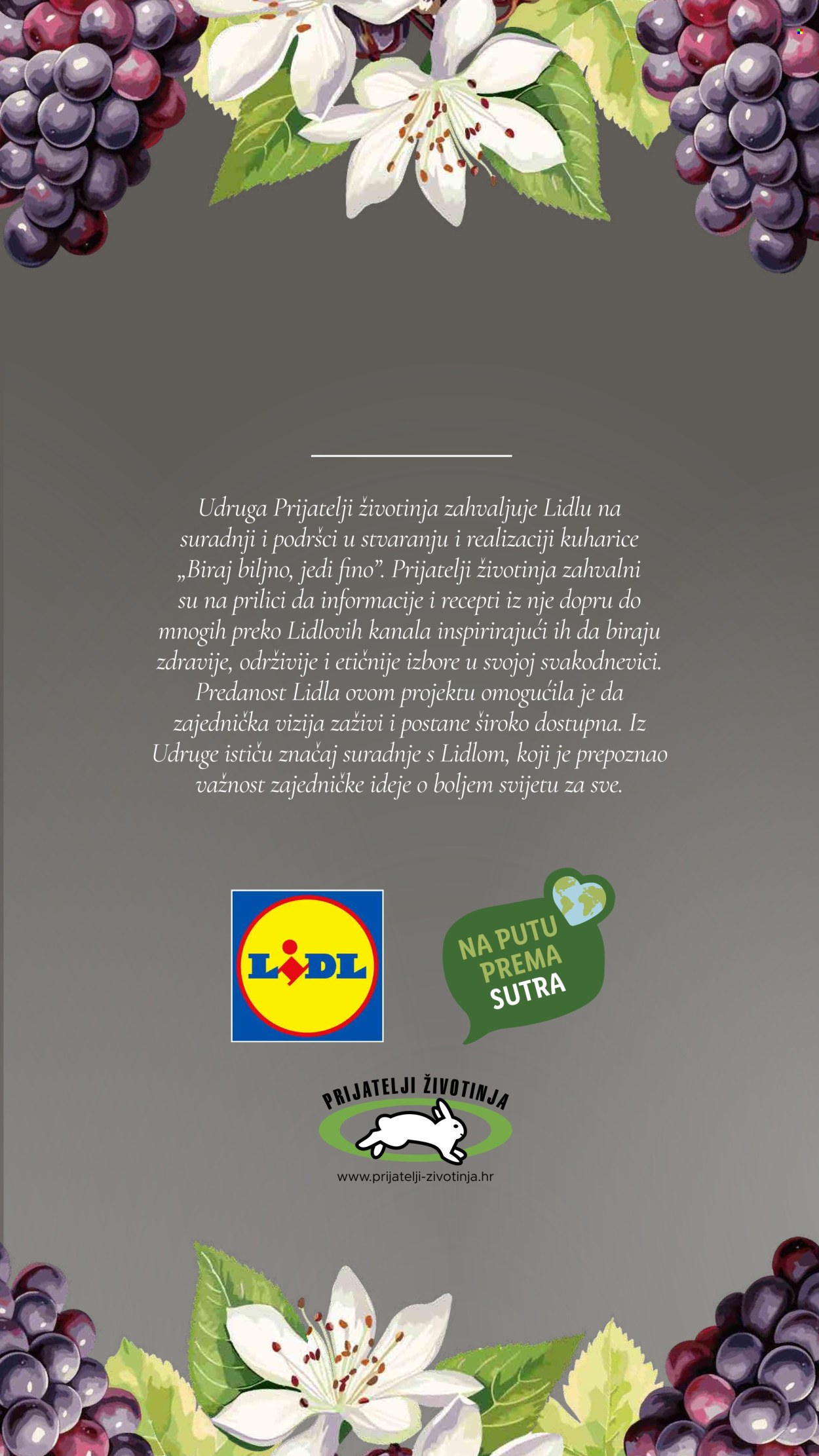 Lidl katalog