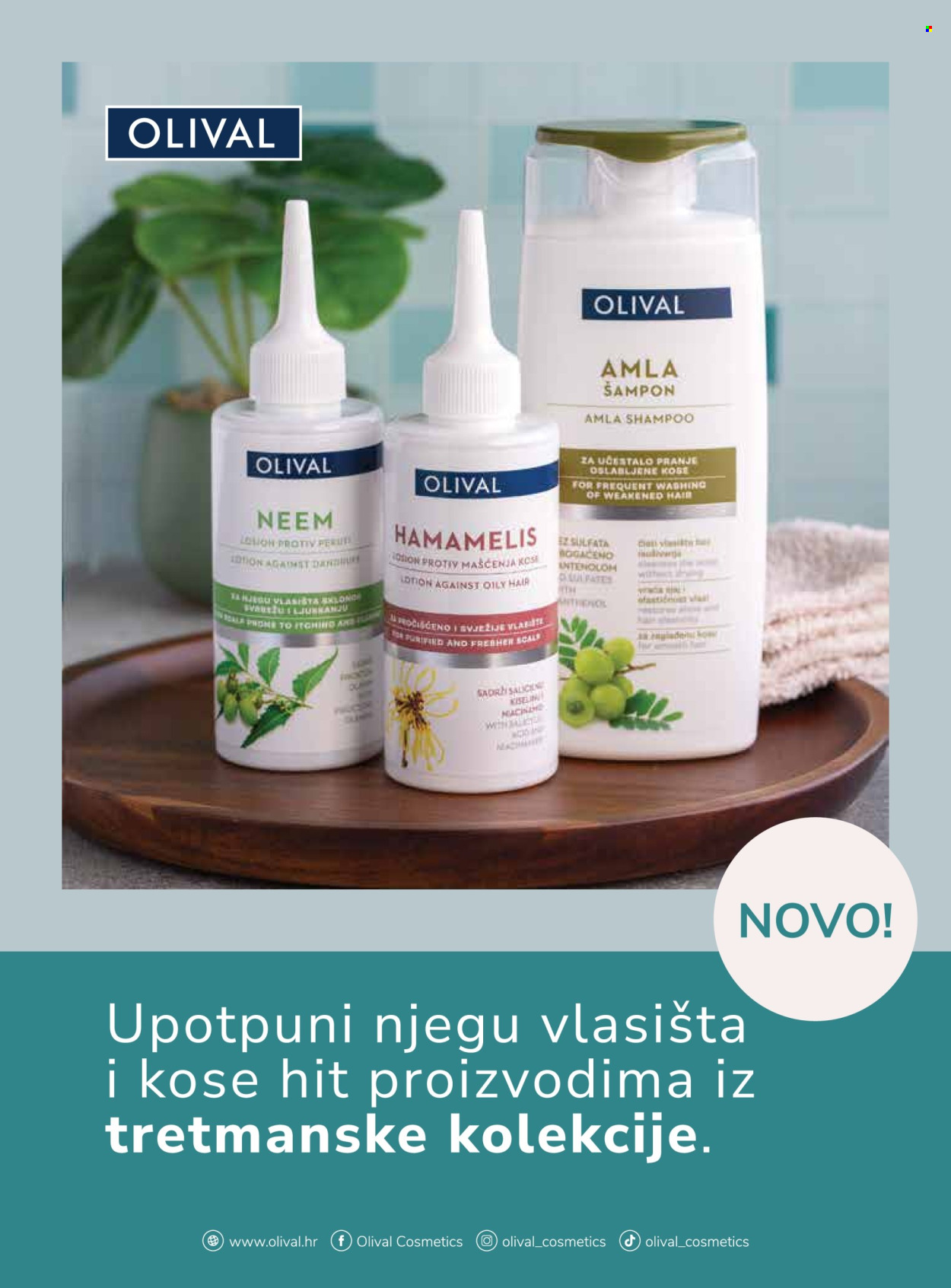 dm katalog