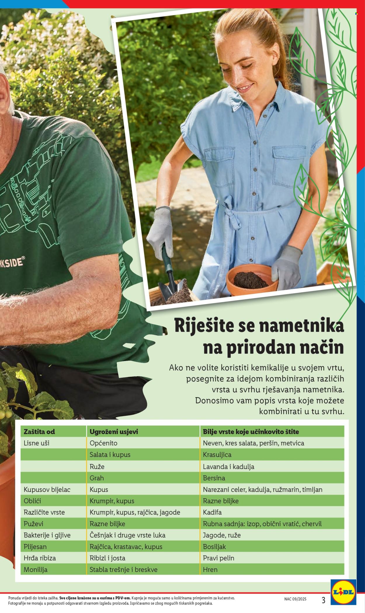 Lidl katalog