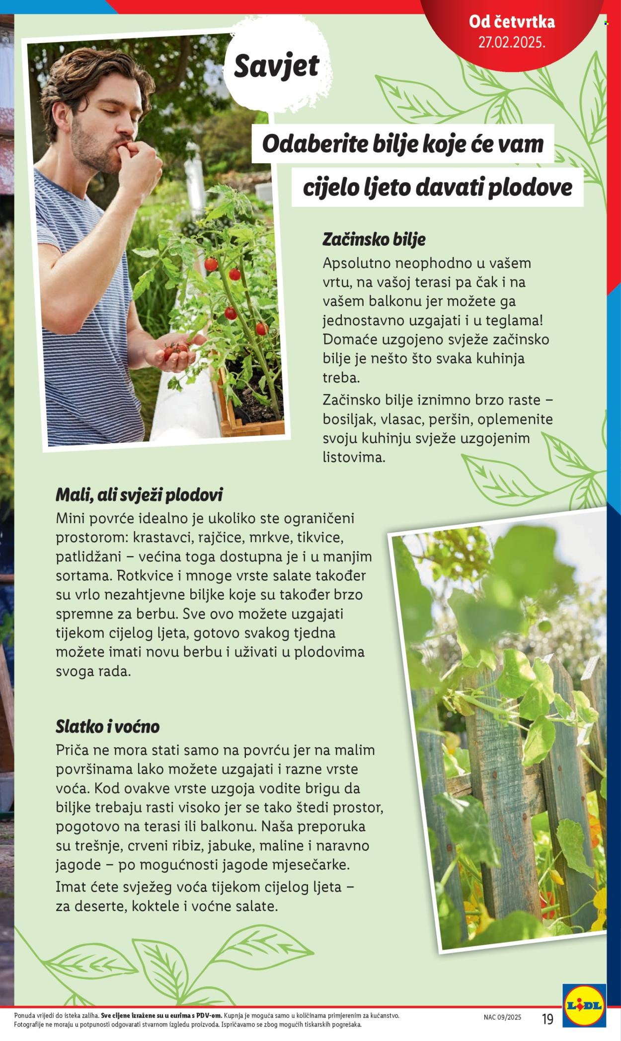 Lidl katalog