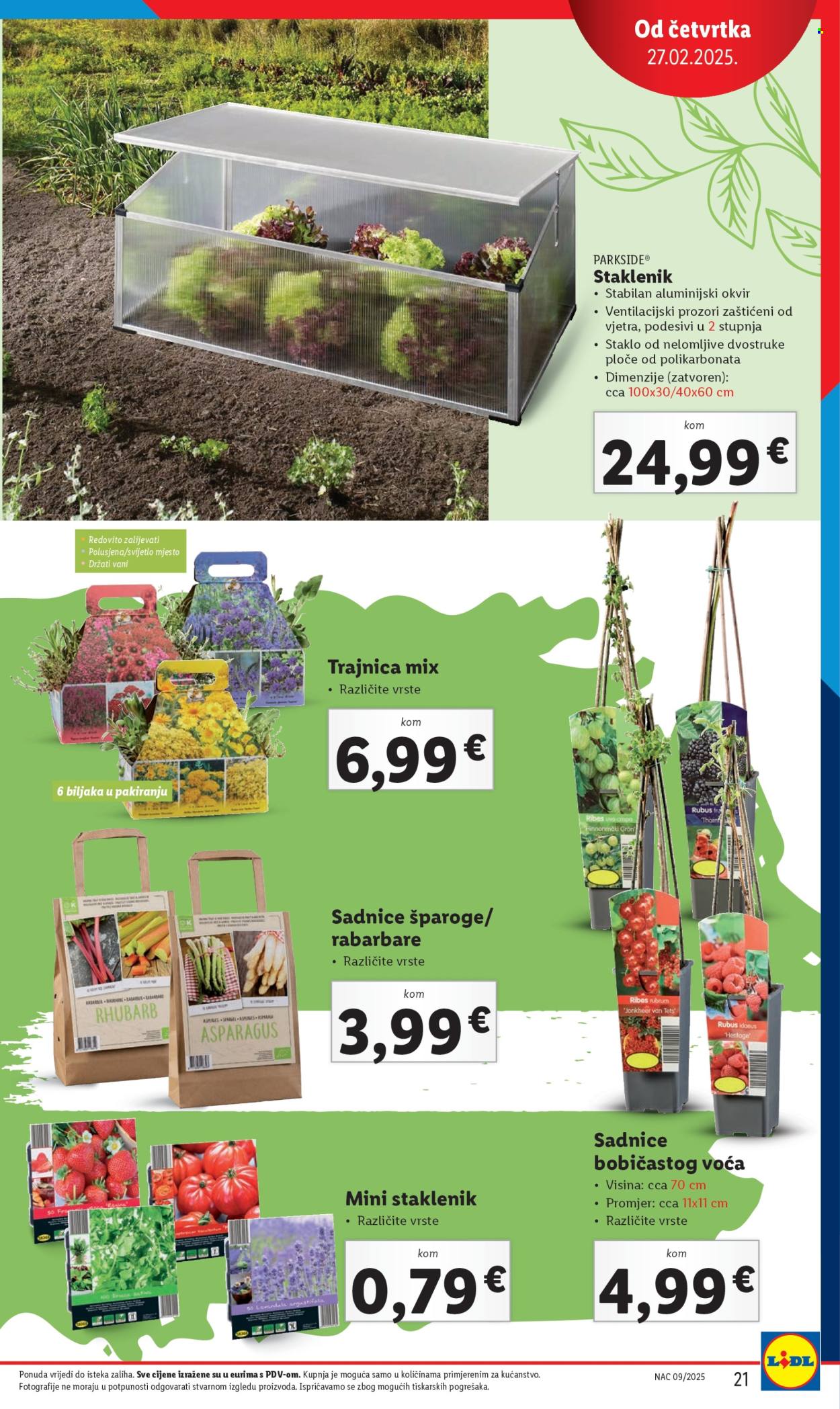 Lidl katalog