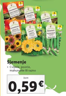 Sjeme
