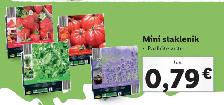 Mini staklenik