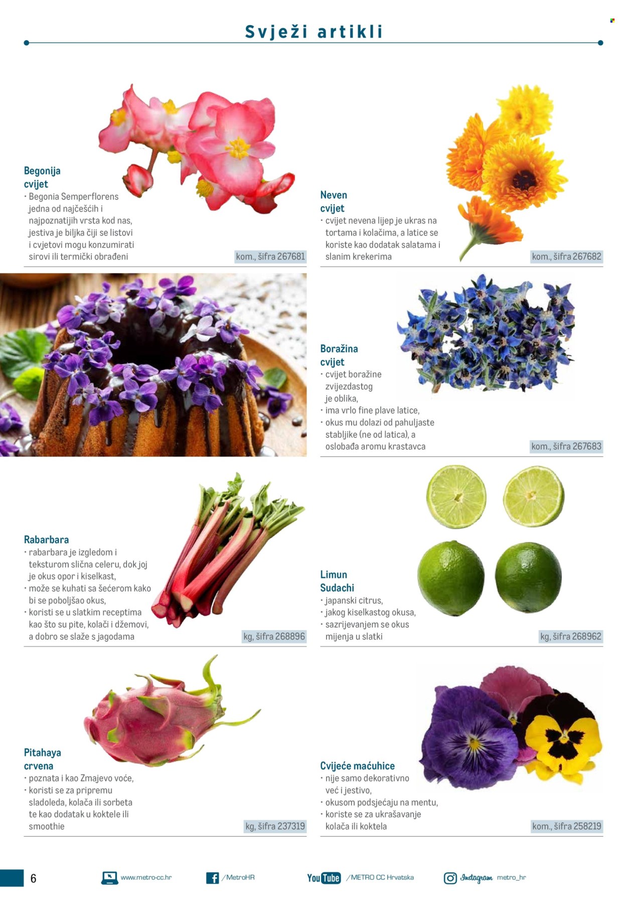Metro katalog