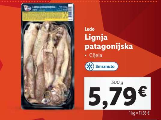 Lignja patagonijska