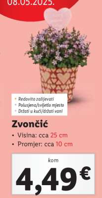 Zvončič