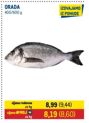 Orada