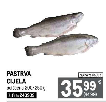 PASTRVA CIJELA