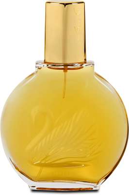 Vanderbilt Gloria Vanderbilt edt