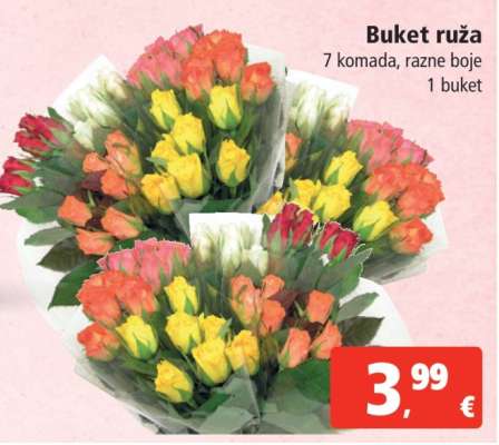 Buket ruža