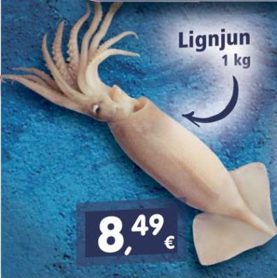 Lignjun