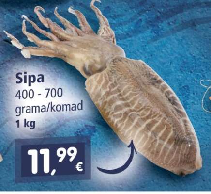 SIPA
