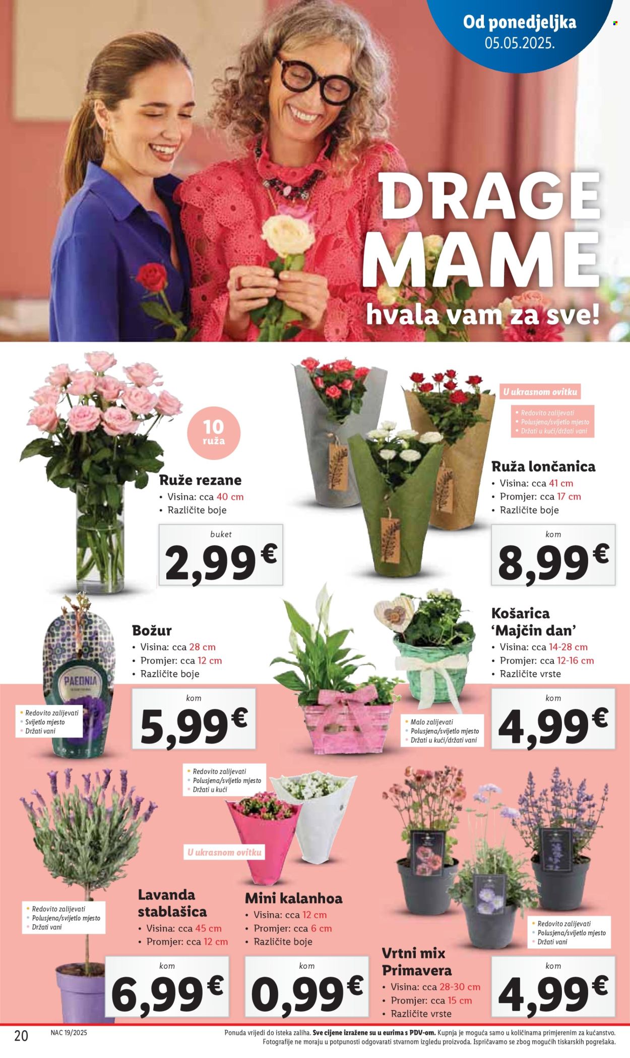 Lidl katalog - 08.05.2025. - 11.05.2025.
