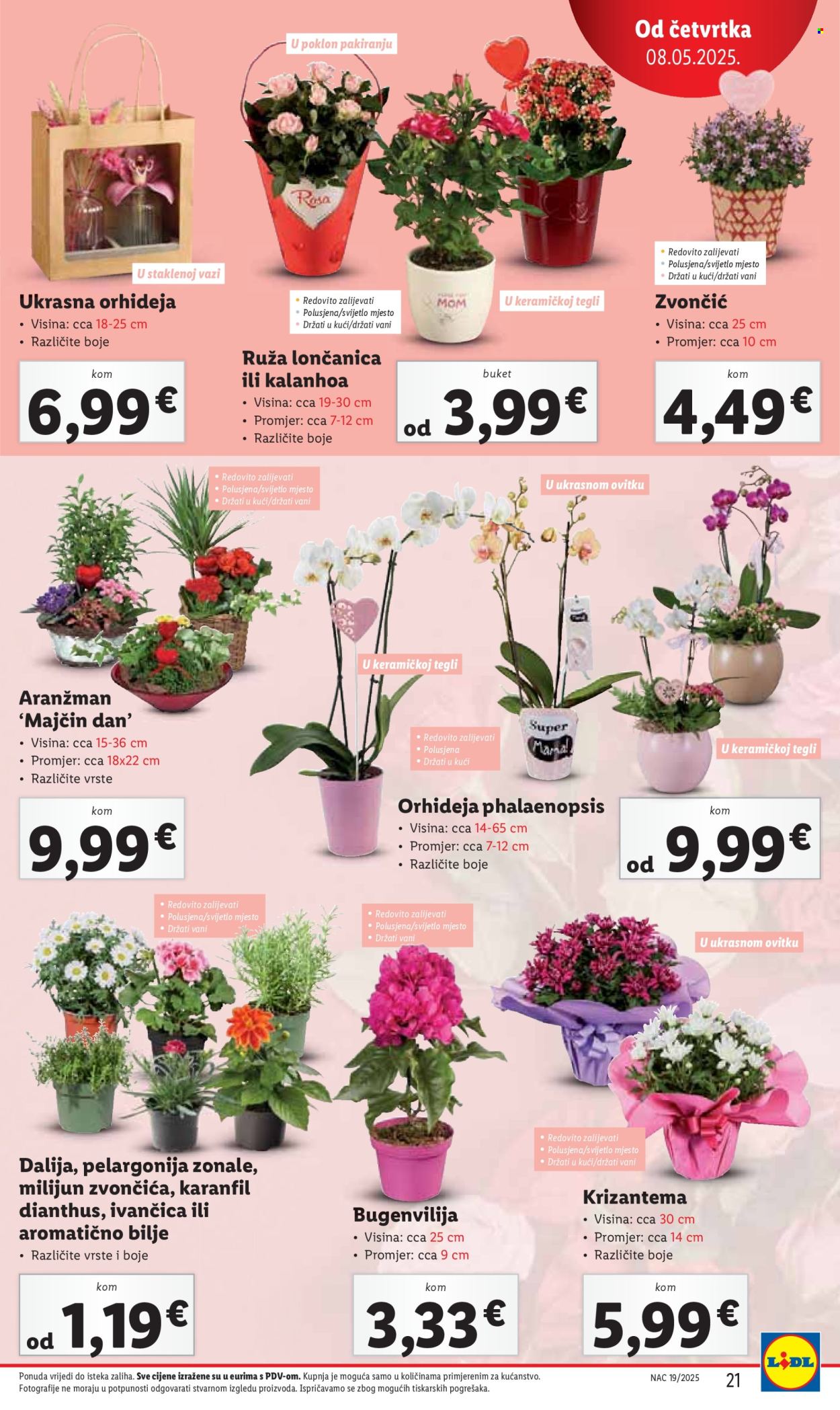 Lidl katalog - 08.05.2025. - 11.05.2025.