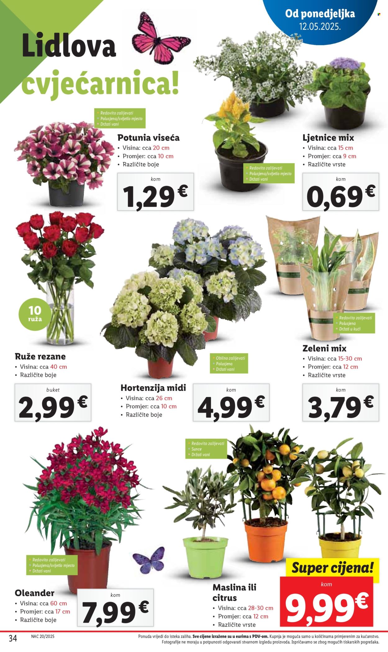 Lidl katalog - 12.05.2025. - 18.05.2025.