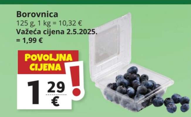 Borovnica