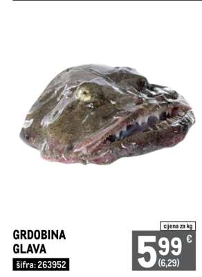 GRDOBINA GLAVA