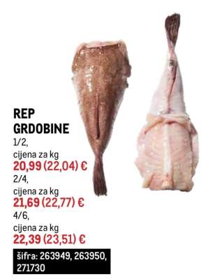 Rep grdobine