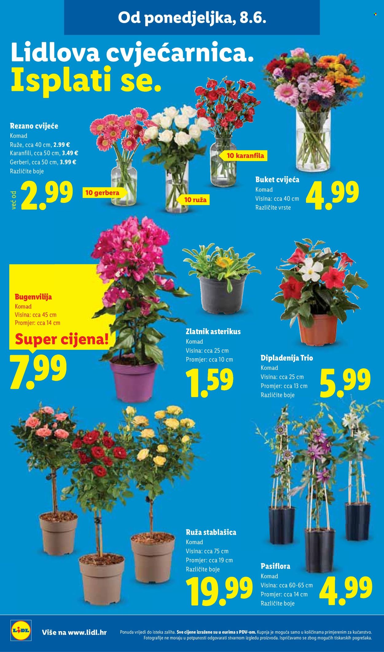 Lidl katalog - 08.06.2026. - 14.06.2026. Stranica 56