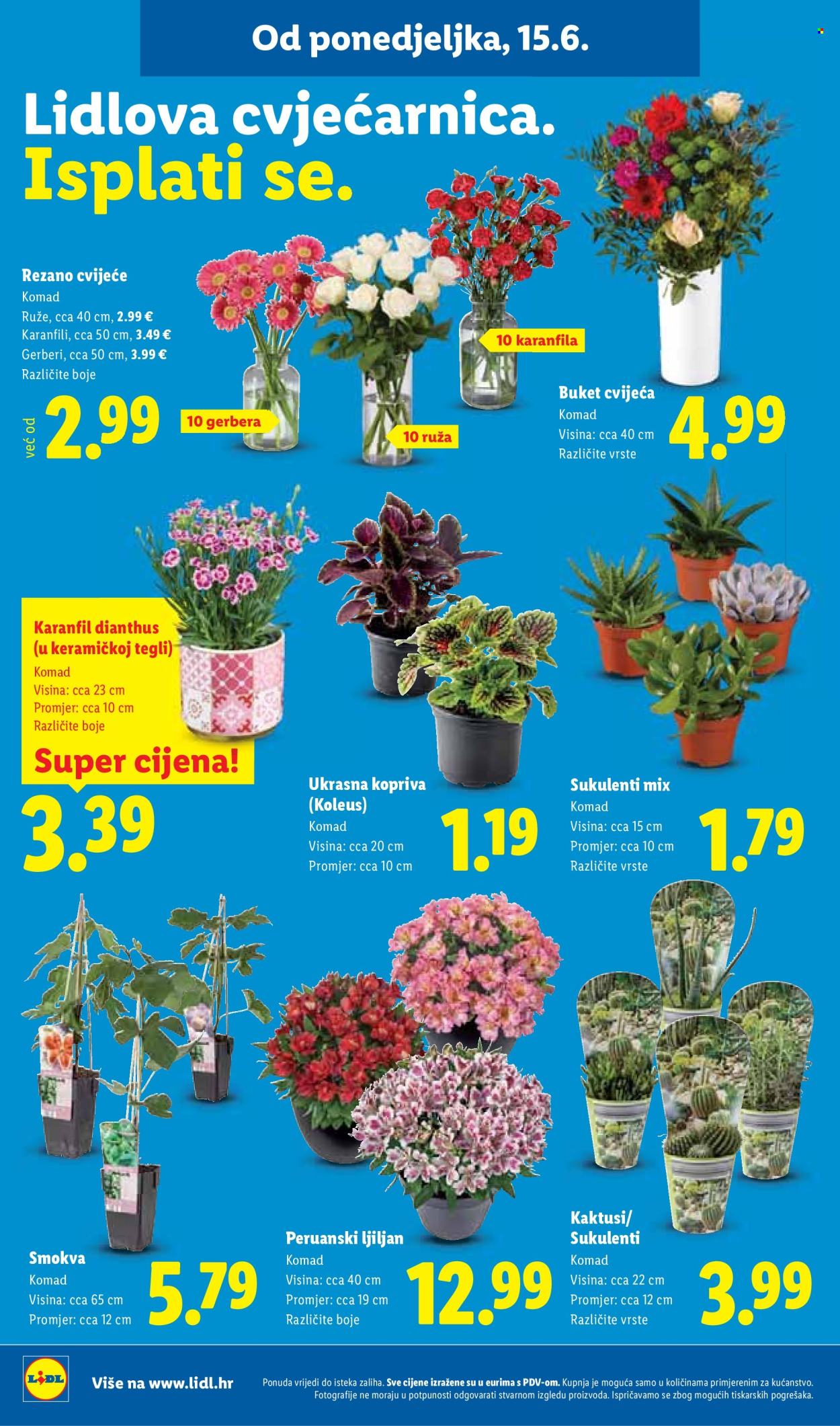 Lidl katalog - 15.06.2026. - 21.06.2026. Stranica 46