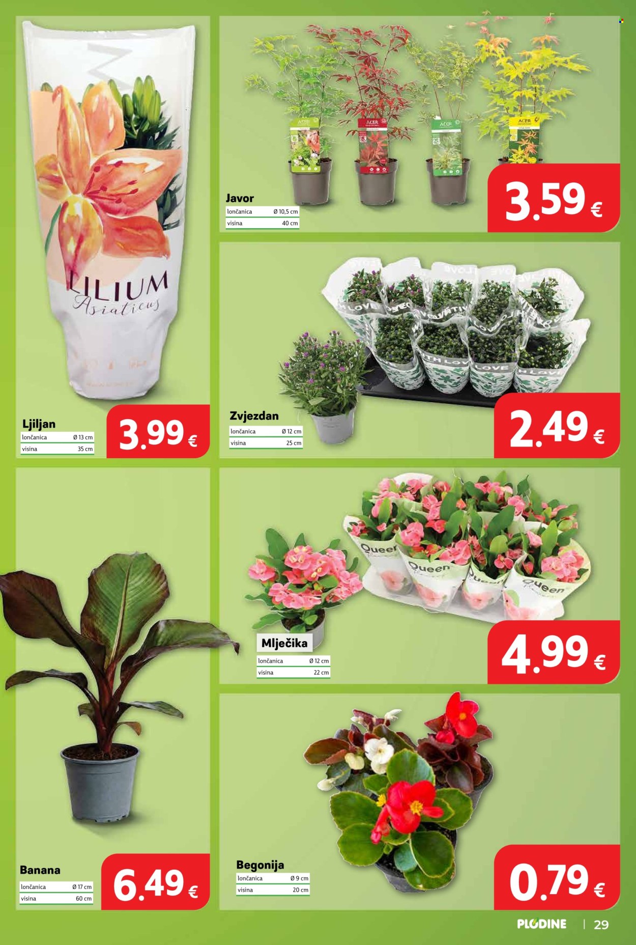 Plodine katalog - 18.06.2026. - 23.06.2026. Stranica 29