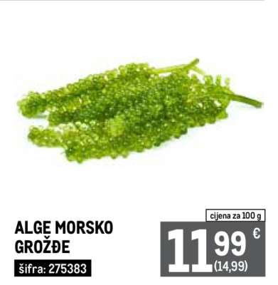 ALGE MORSKO GROŽĐE