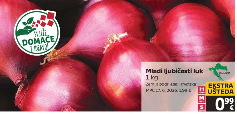Mladi ljubičasti luk