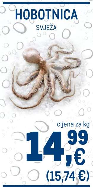 Hobotnica