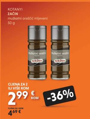 KOTANYI Začin