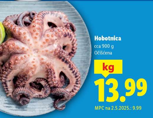 Hobotnica