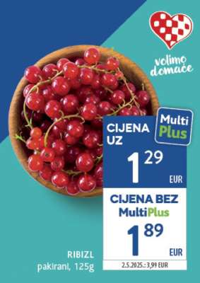 RIBIZL