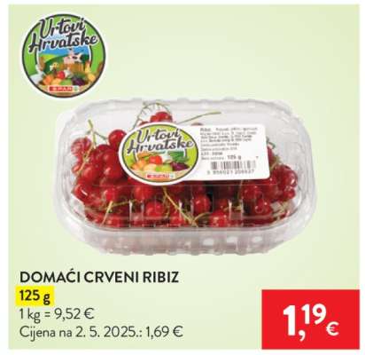 DOMAĆI CRVENI RIBIZ