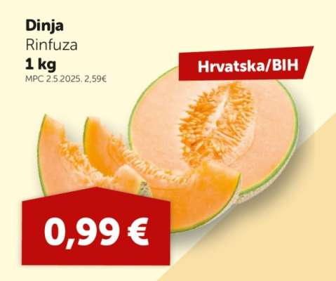 Dinja
