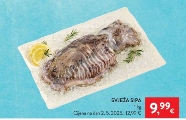 SVJEŽA SIPA