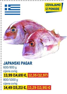Japanski pagar