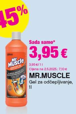 Mr Muscle*