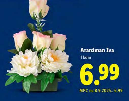 ARANŽMAN IVA