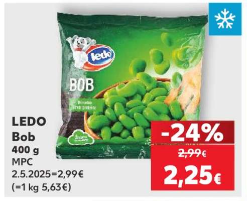 LEDO BOB