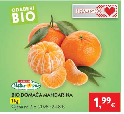 BIO DOMAĆA MANDARINA