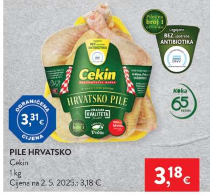 Pile hrvatsko*