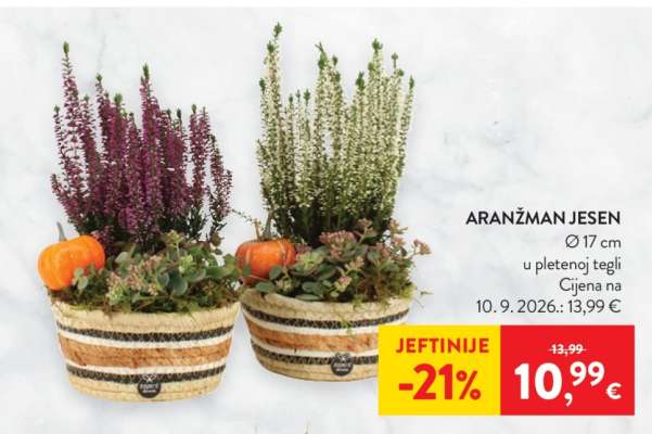 ARANŽMAN JESEN