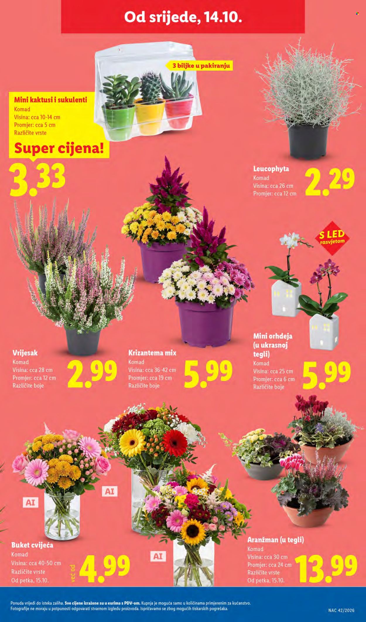 Lidl katalog - 12.10.2026. - 18.10.2026. Stranica 37